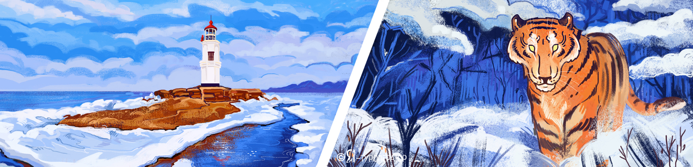 Новый год во Владивостоке: скорее в 2026!