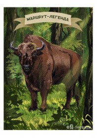 Беларусь: путь Магнатов (автобус 3)